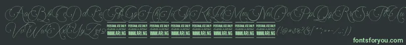 Encinascript1Personal Font – Green Fonts on Black Background