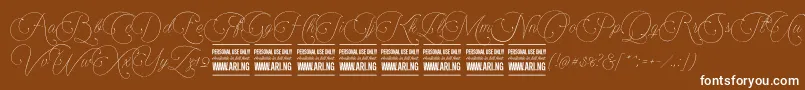 Encinascript1Personal Font – White Fonts on Brown Background