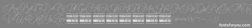 Encinascript1Personal-Schriftart – Weiße Schriften auf grauem Hintergrund