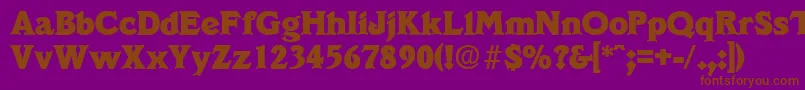 VeracruzExtrabold Font – Brown Fonts on Purple Background