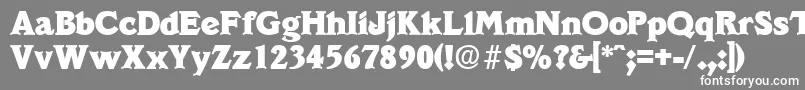 フォントVeracruzExtrabold – 灰色の背景に白い文字