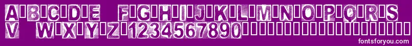 CfcreatureofdarknessRegula Font – White Fonts on Purple Background