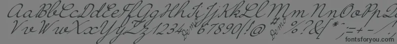 HirondelleDemo-Schriftart – Schwarze Schriften auf grauem Hintergrund