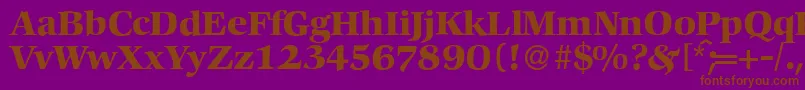 C792RomanBold Font – Brown Fonts on Purple Background