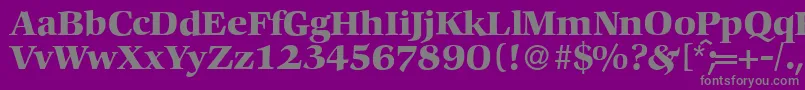 C792RomanBold Font – Gray Fonts on Purple Background