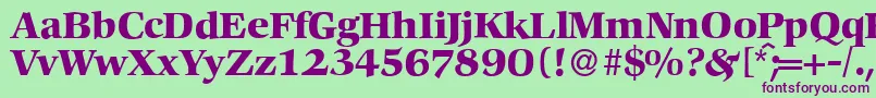 C792RomanBold Font – Purple Fonts on Green Background