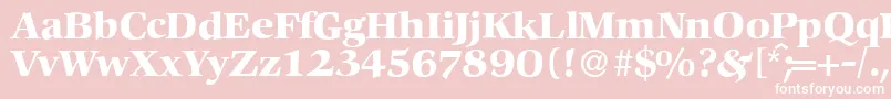 C792RomanBold Font – White Fonts on Pink Background