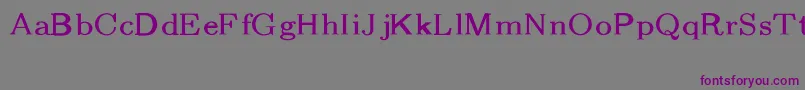 CmFibonacciRegular Font – Purple Fonts on Gray Background