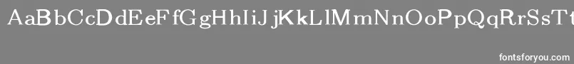 CmFibonacciRegular Font – White Fonts on Gray Background