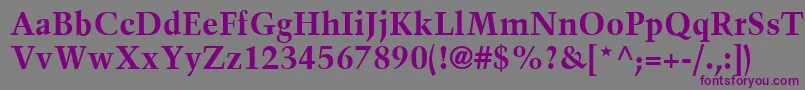 TrumpMediaevalLtBold Font – Purple Fonts on Gray Background