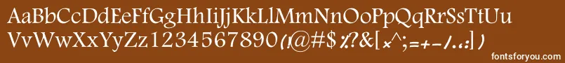 KFarnaz Font – White Fonts on Brown Background