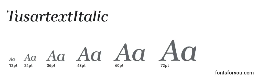 TusartextItalic Font Sizes