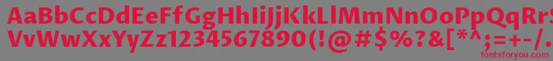 ProzalibreExtrabold Font – Red Fonts on Gray Background