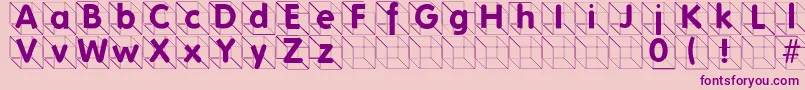 Folksincube Font – Purple Fonts on Pink Background