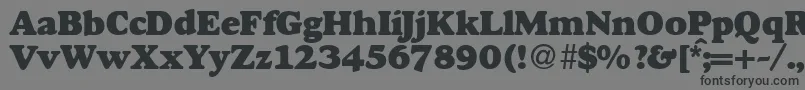 GourmetheavydbNormal Font – Black Fonts on Gray Background