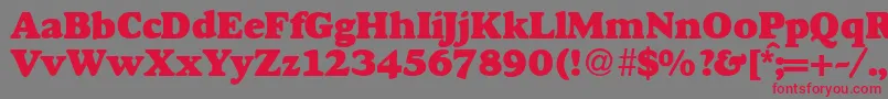 GourmetheavydbNormal Font – Red Fonts on Gray Background