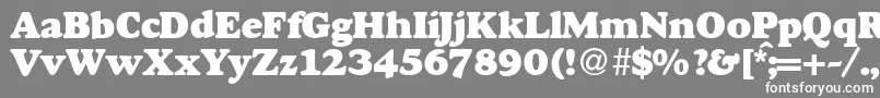 フォントGourmetheavydbNormal – 灰色の背景に白い文字