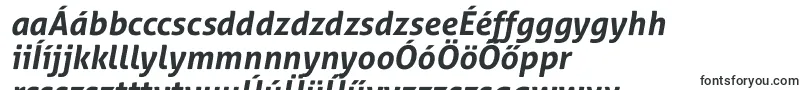 AllerStdBdit-Schriftart – ungarische Schriften