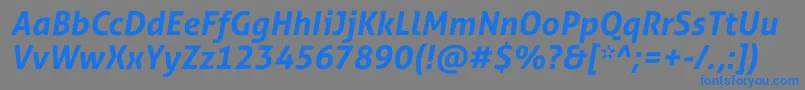 AllerStdBdit Font – Blue Fonts on Gray Background