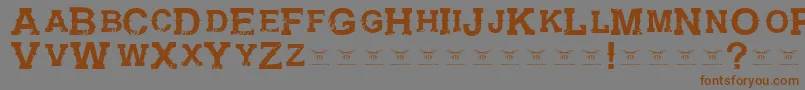 GunfighteracademyRegular Font – Brown Fonts on Gray Background