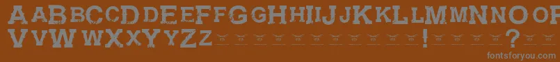 GunfighteracademyRegular Font – Gray Fonts on Brown Background