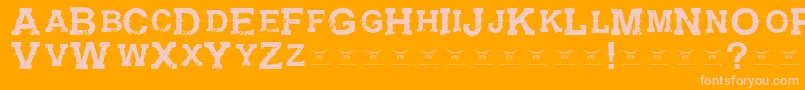 GunfighteracademyRegular Font – Pink Fonts on Orange Background