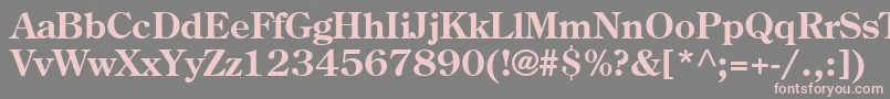 フォントAgCenturyOldStyleCyrBold – 灰色の背景にピンクのフォント