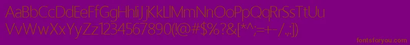 HomizioNovaLight Font – Brown Fonts on Purple Background