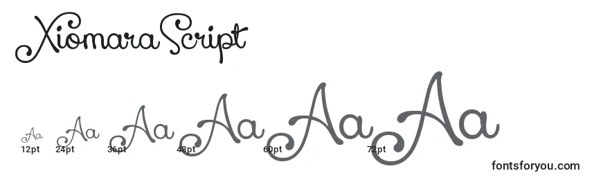 XiomaraScript Font Sizes