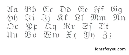Обзор шрифта Gothicg