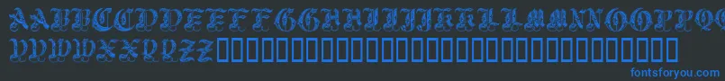 Royalinitialen Font – Blue Fonts on Black Background