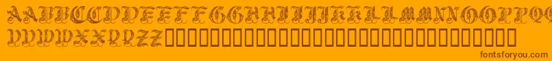 Royalinitialen Font – Brown Fonts on Orange Background