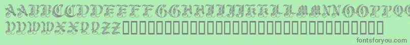 Royalinitialen Font – Gray Fonts on Green Background