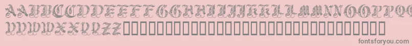 Royalinitialen Font – Gray Fonts on Pink Background