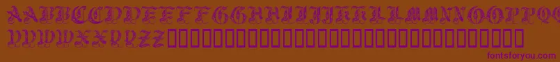 Royalinitialen Font – Purple Fonts on Brown Background