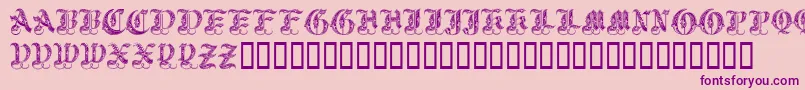 Royalinitialen Font – Purple Fonts on Pink Background