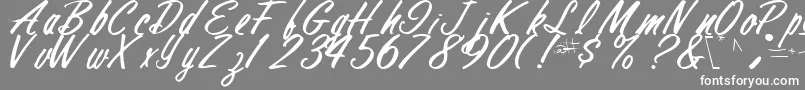 FinalRegularTtstd Font – White Fonts on Gray Background