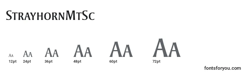 Размеры шрифта StrayhornMtSc