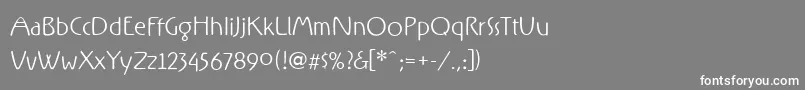 フォントRxfz – 灰色の背景に白い文字