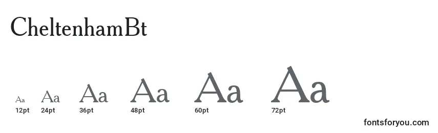 CheltenhamBt Font Sizes