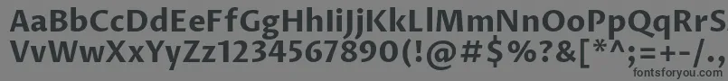 フォントProzalibreBold – 黒い文字の灰色の背景