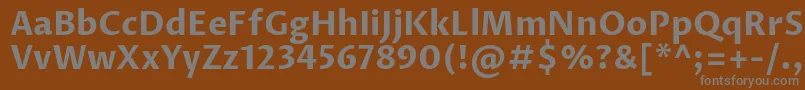 フォントProzalibreBold – 茶色の背景に灰色の文字