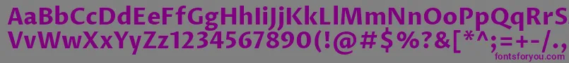 ProzalibreBold Font – Purple Fonts on Gray Background