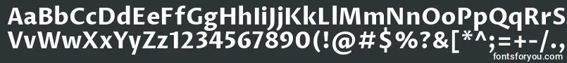 ProzalibreBold-fontti – valkoiset fontit mustalla taustalla