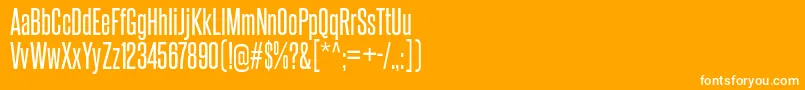 SteelfishRg-Schriftart – Weiße Schriften auf orangefarbenem Hintergrund