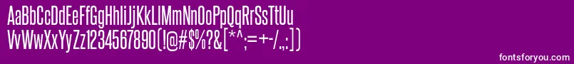 SteelfishRg Font – White Fonts on Purple Background