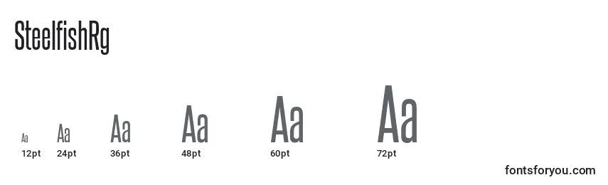 SteelfishRg Font Sizes