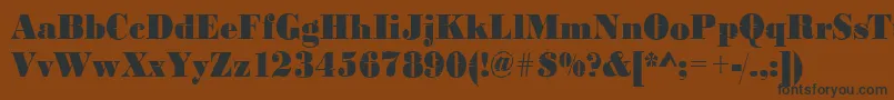 Bodoniinkjet2Regular-Schriftart – Schwarze Schriften auf braunem Hintergrund