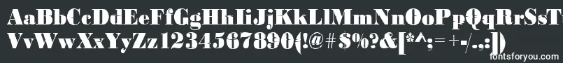 フォントBodoniinkjet2Regular – 白い文字