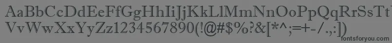 ImprintMtShadowフォントについての詳細 フォントImprintMtShadow – 黒い文字の灰色の背景